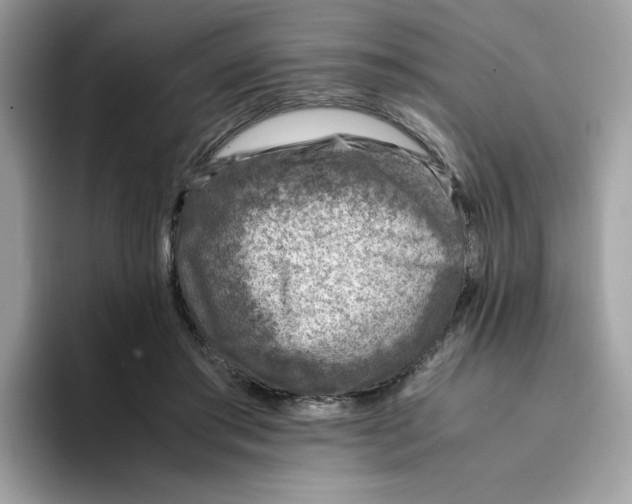 X0000094340405200711301253