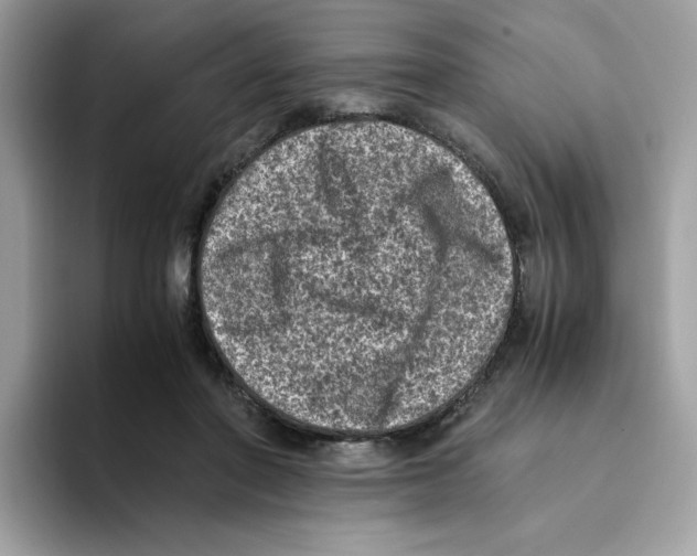 X0000094340406200711301253