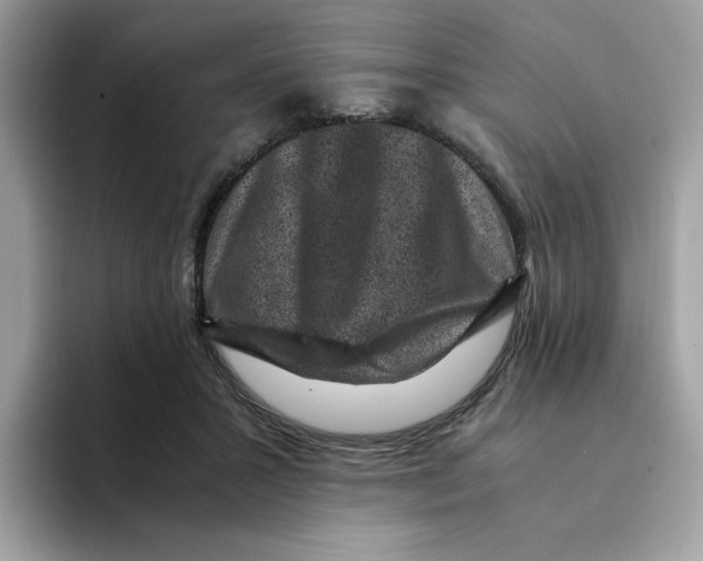 X0000094340407200711301253