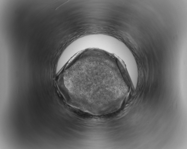 X0000094340416200711301252