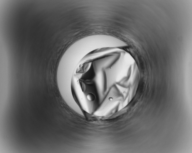 X0000094340417200711301252