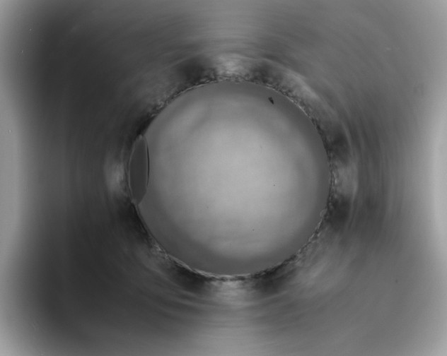 X0000094340419200711301252