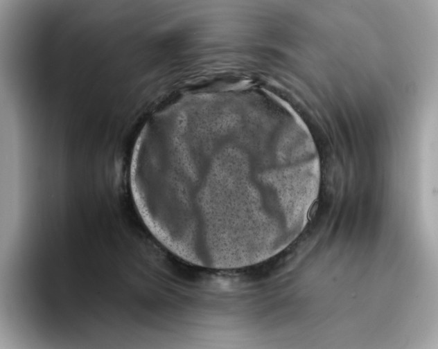 X0000094340420200711301252