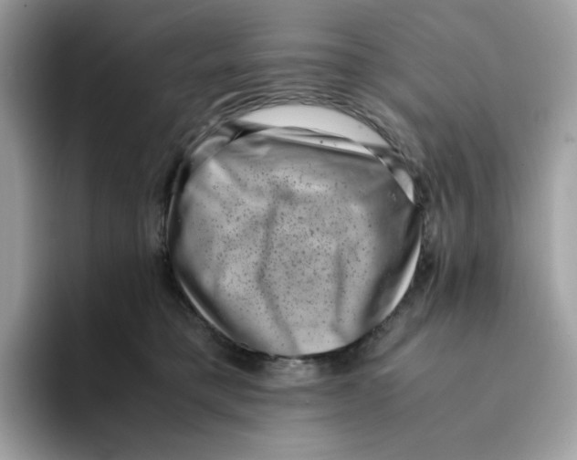 X0000094340421200711301252