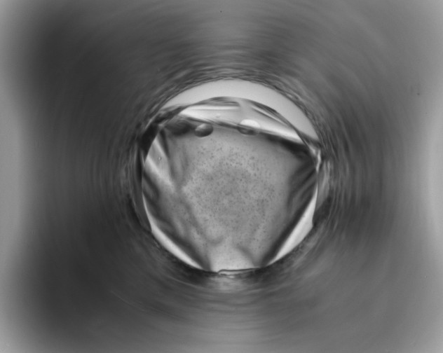 X0000094340425200711301252