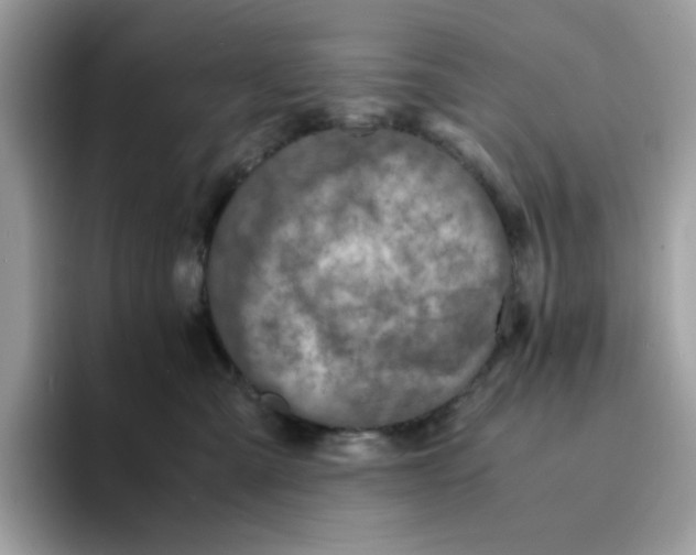 X0000094340427200711301252