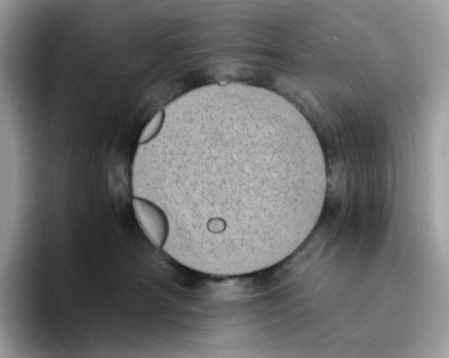 X0000094340430200711301252