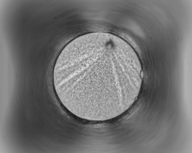 X0000094340433200711301252