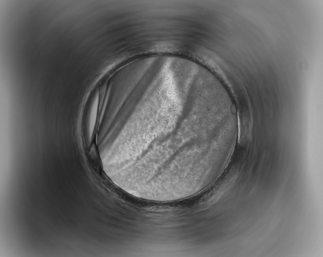 X0000094340435200711301252