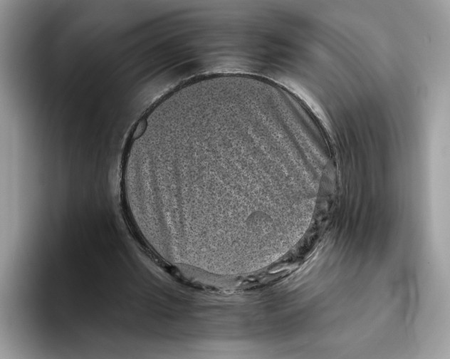 X0000094340437200711301252