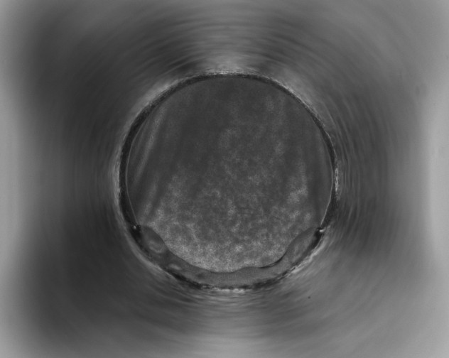 X0000094340438200711301252