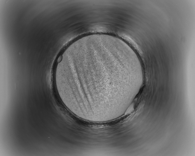 X0000094340439200711301252