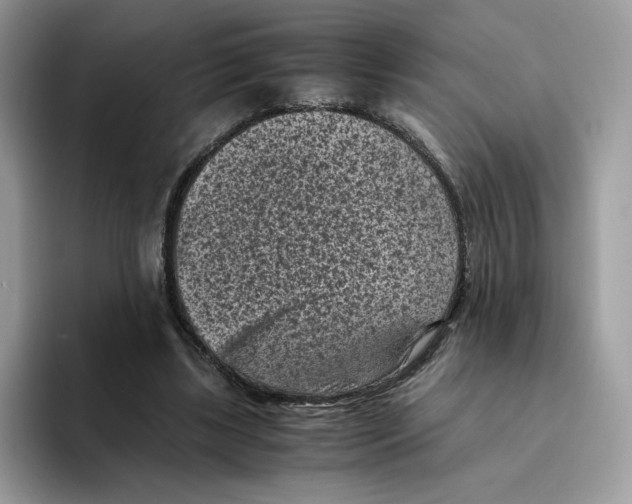 X0000094340443200711301252