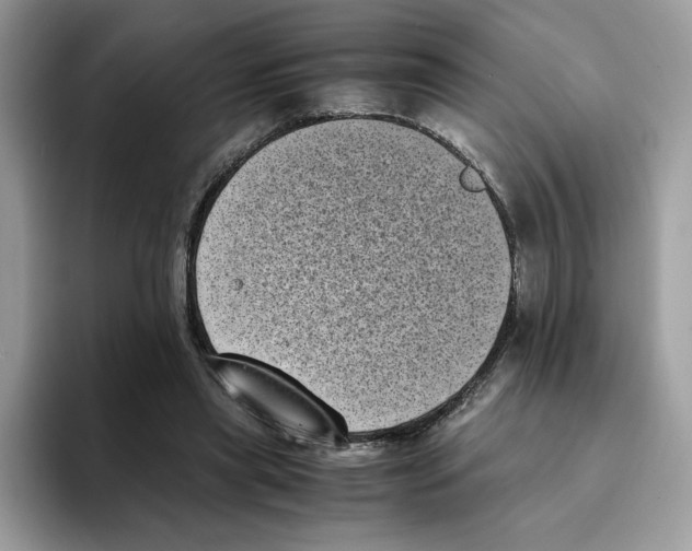 X0000094340445200711301252