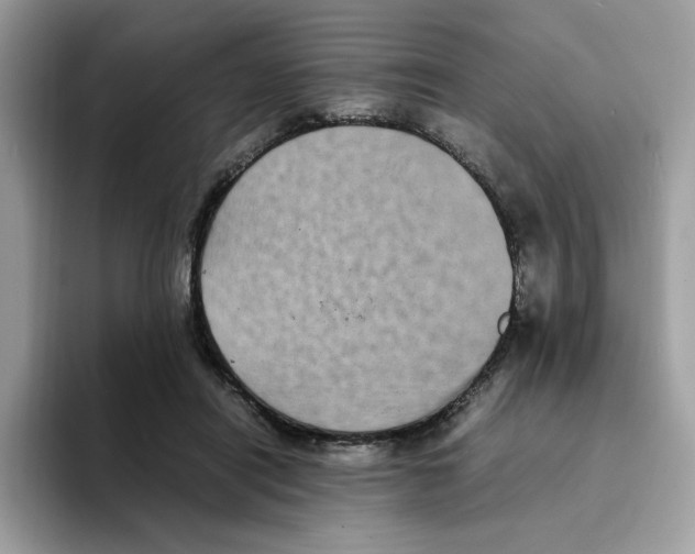 X0000094340454200711301252