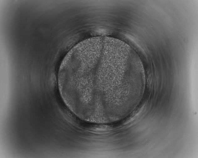 X0000094340459200711301252