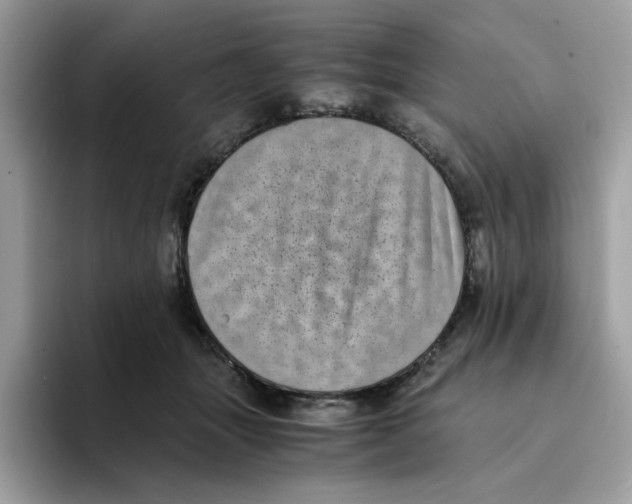 X0000094340463200711301252