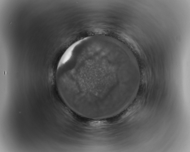 X0000094340465200711301252