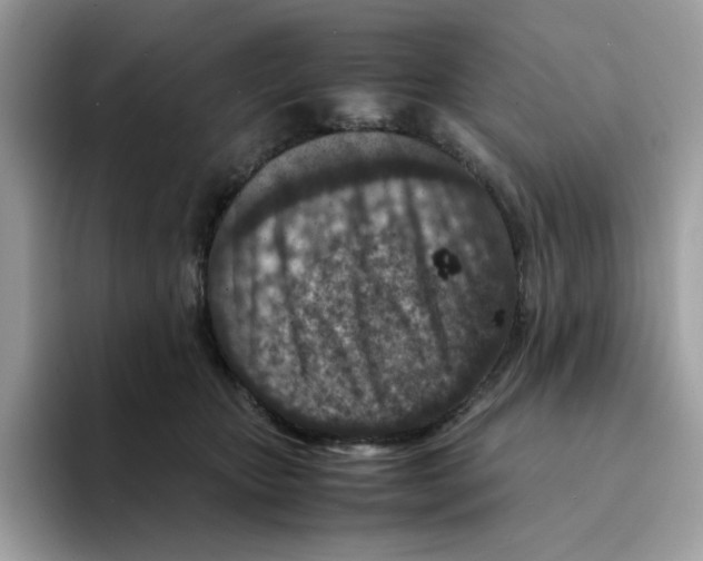 X0000094340467200711301252