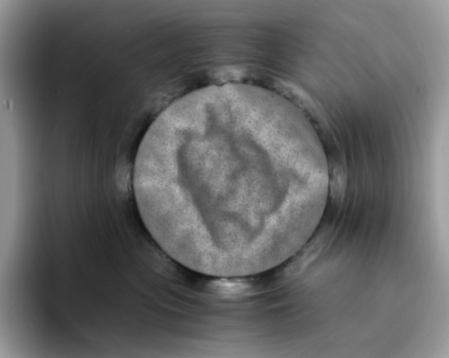 X0000094340477200711301252