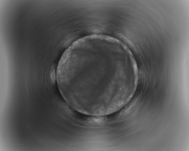 X0000094340479200711301252