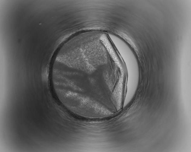 X0000094340483200711301252