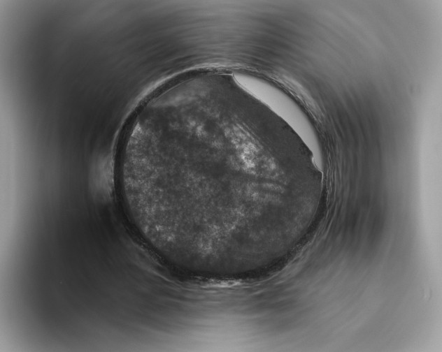 X0000094340484200711301252