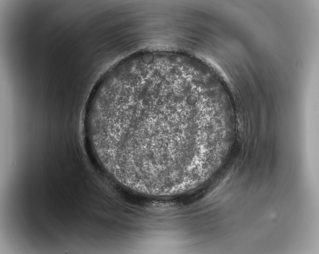 X0000094340487200711301251