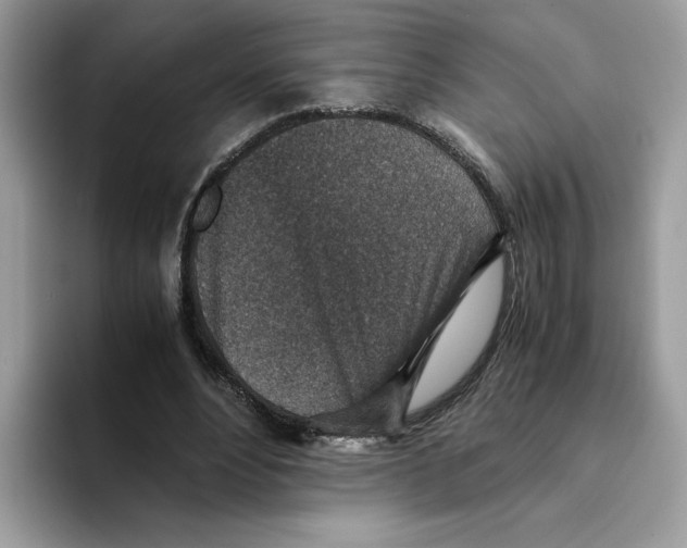 X0000094340488200711301251