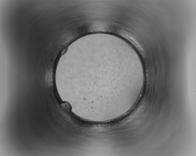 X0000094340489200711301251