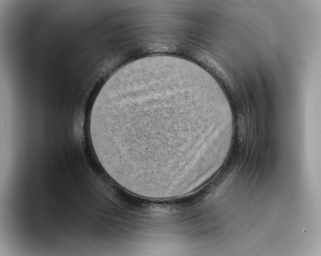 X0000094340490200711301251