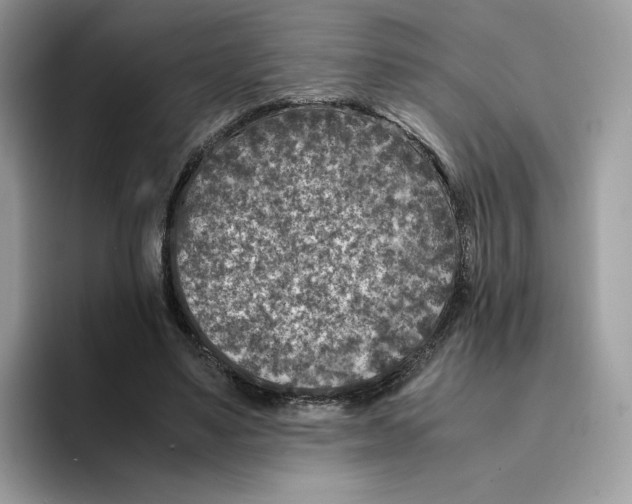 X0000094340491200711301251