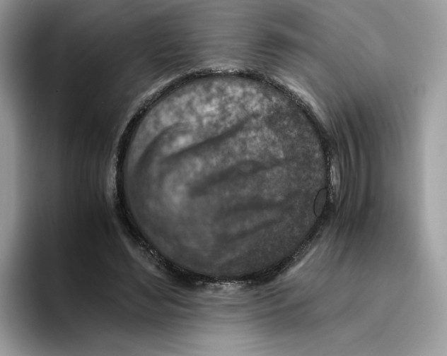 X0000094340492200711301251