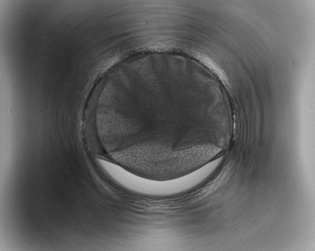 X0000094340493200711301251