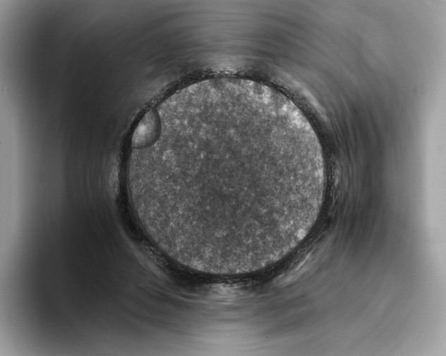 X0000094340496200711301251