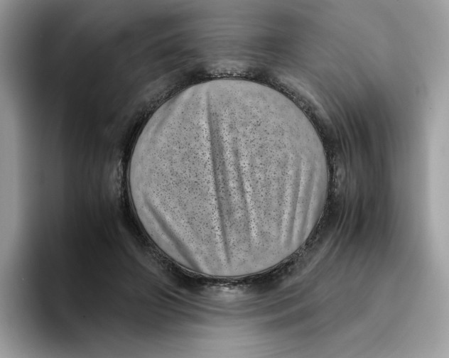 X0000094340498200711301251