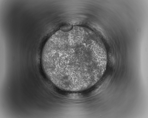 X0000094340499200711301251