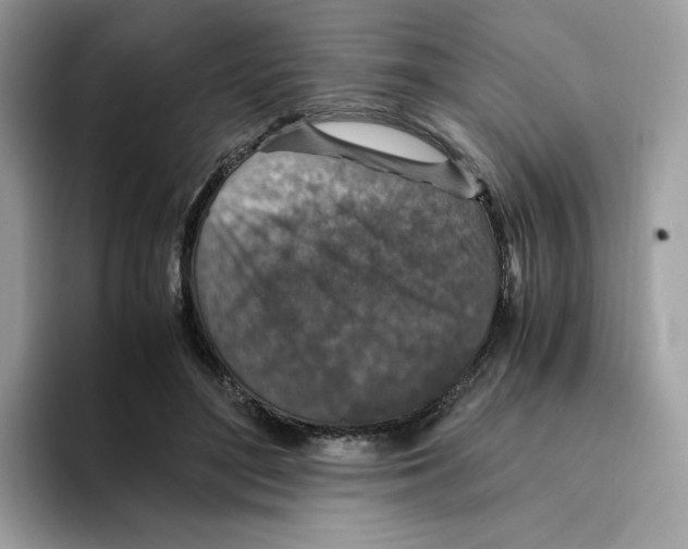 X0000094340500200711301251