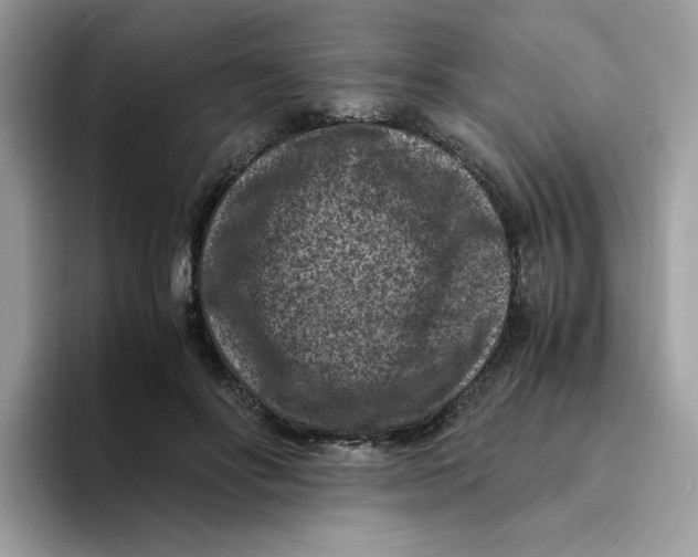 X0000094340502200711301251