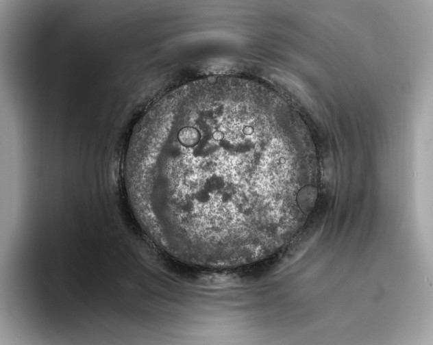 X0000094340503200711301251