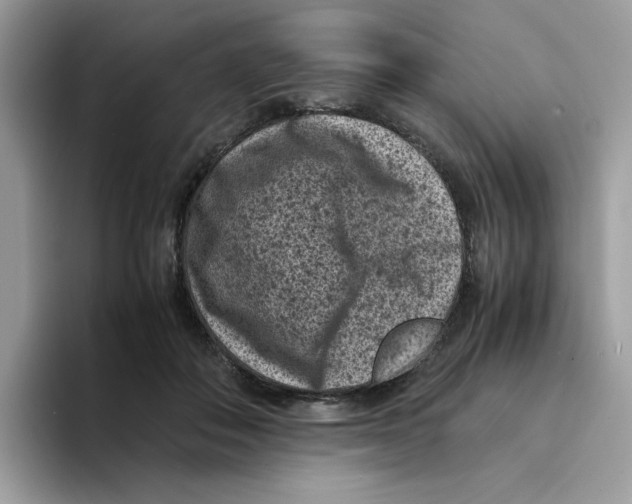 X0000094340506200711301251