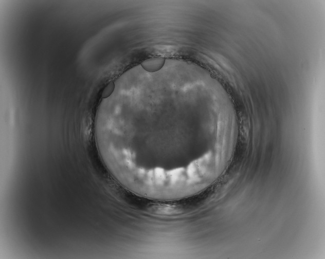 X0000094340507200711301251