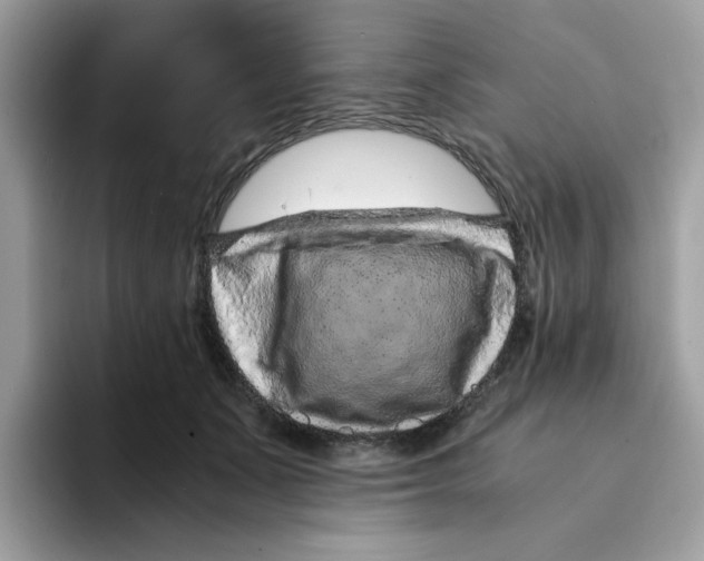 X0000094340511200711301251