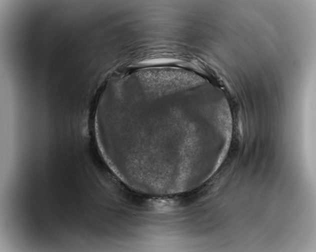 X0000094340512200711301251