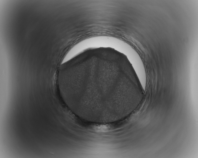 X0000094340513200711301251