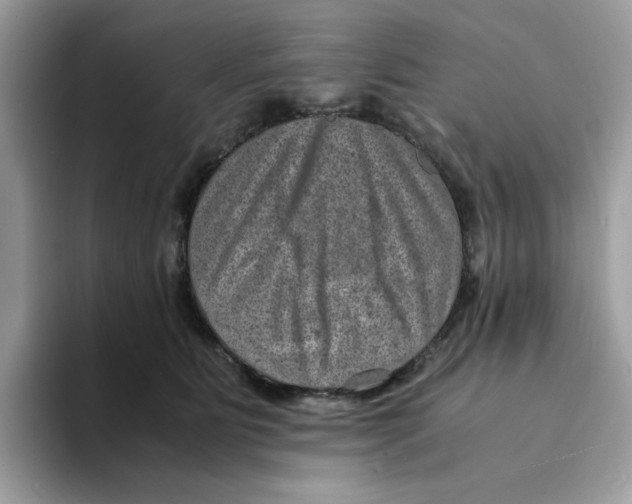 X0000094340515200711301251