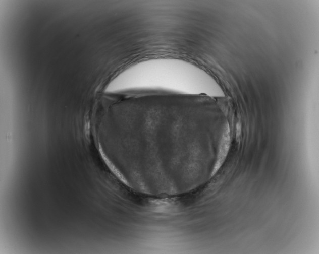 X0000094340516200711301251