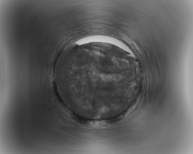 X0000094340517200711301251