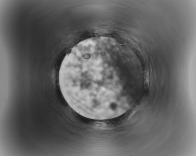 X0000094340519200711301251