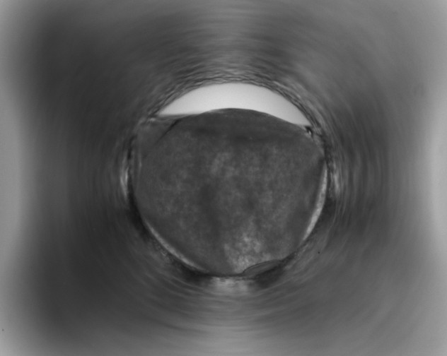 X0000094340520200711301251